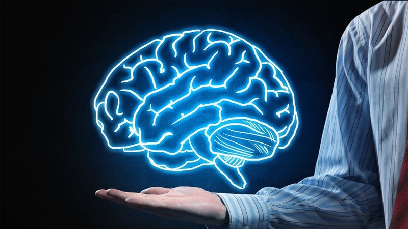 Dâu tằm có tác dụng tốt cho trí nhớ