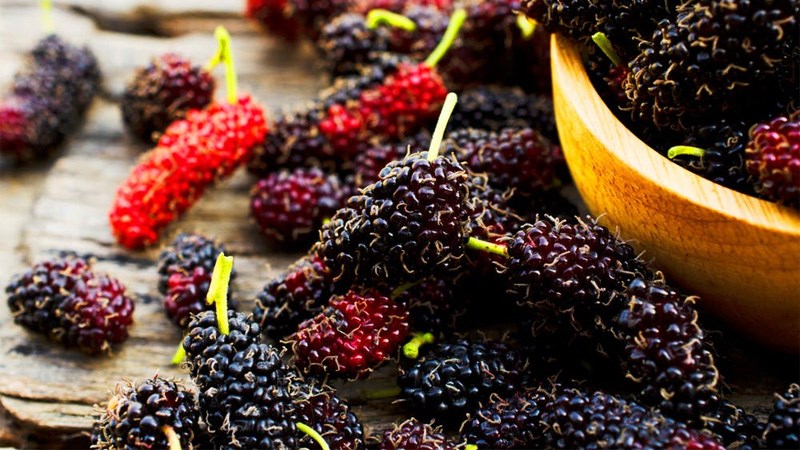 Bà bầu có nên ăn quả dâu tằm không?