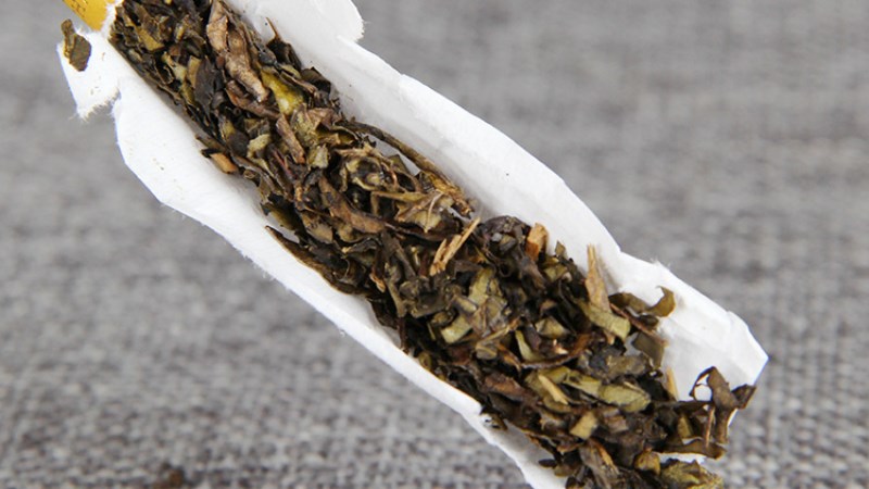 Loại bỏ m&ugrave;i gỗ mới