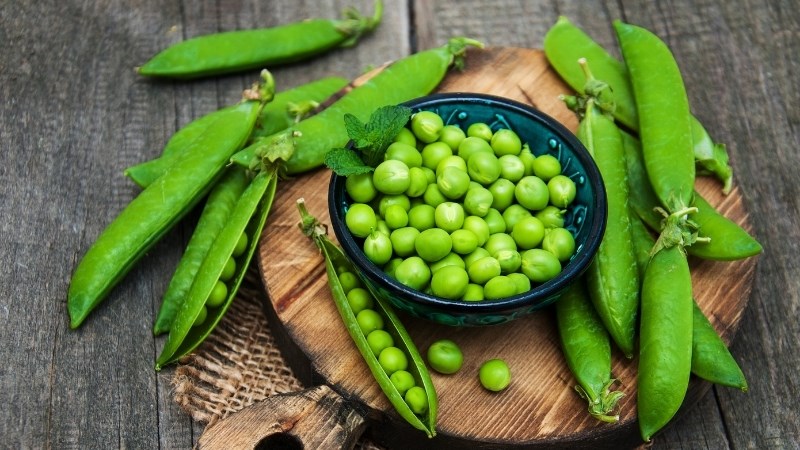 chọn mua đậu h&agrave; lan