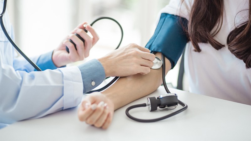 Cây chùm ngây làm giảm huyết áp cao