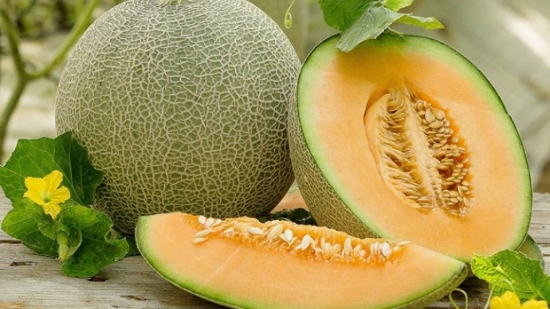 Bữa phụ 2: Dưa lưới (150gr/100)
