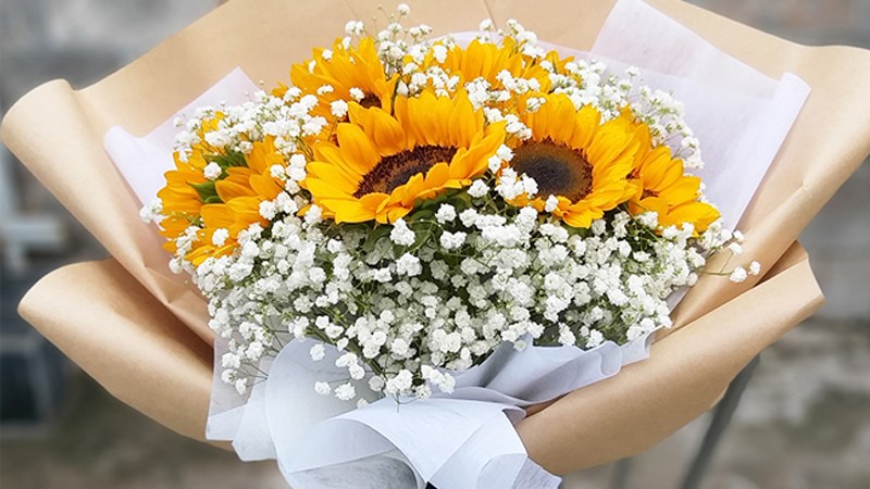 Cách bó hoa hướng dương tròn