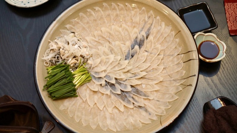 Cá Nóc sashimi
