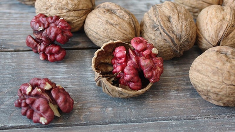 Quả &oacute;c ch&oacute; để được bao l&acirc;u?