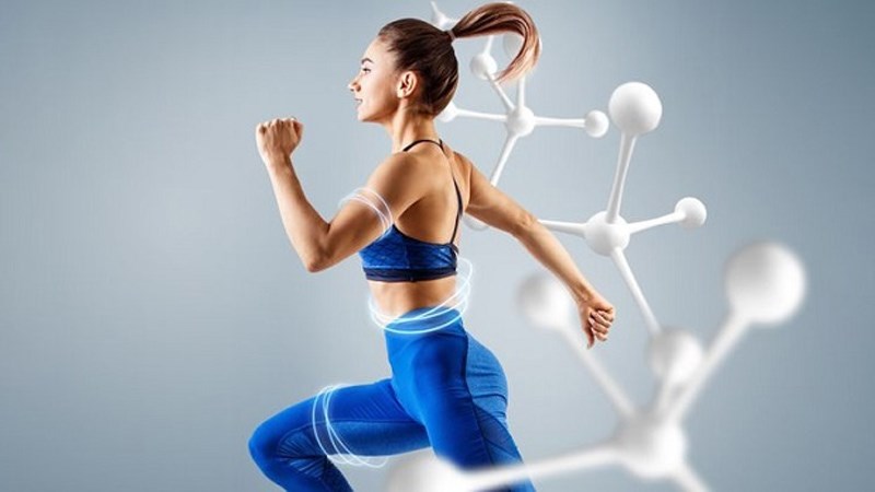 Tảo xoắn Spirulina giúp tăng cường trao đổi chất