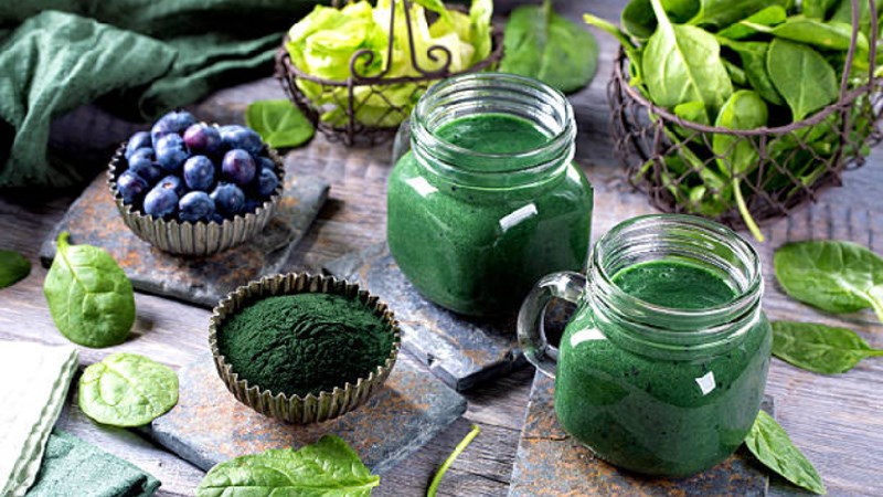 Giá tảo Spirulina bao nhiêu?