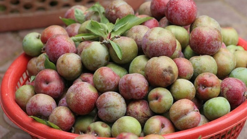 Mận
