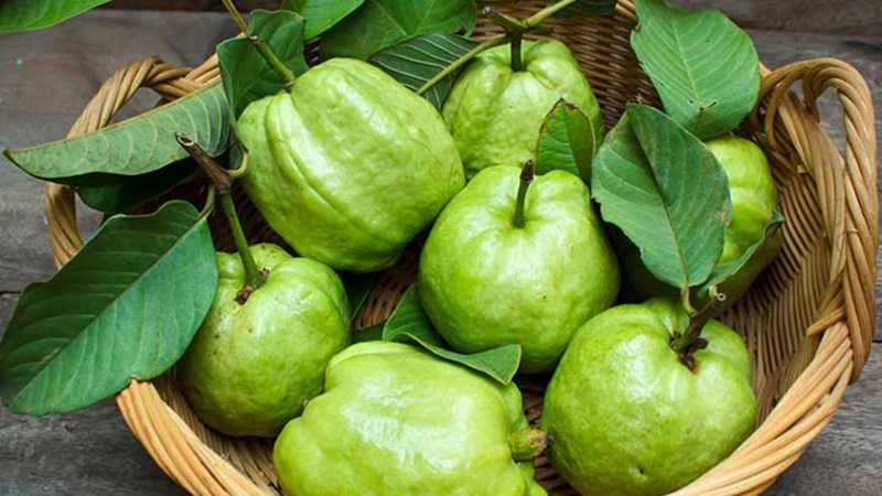 Ổi