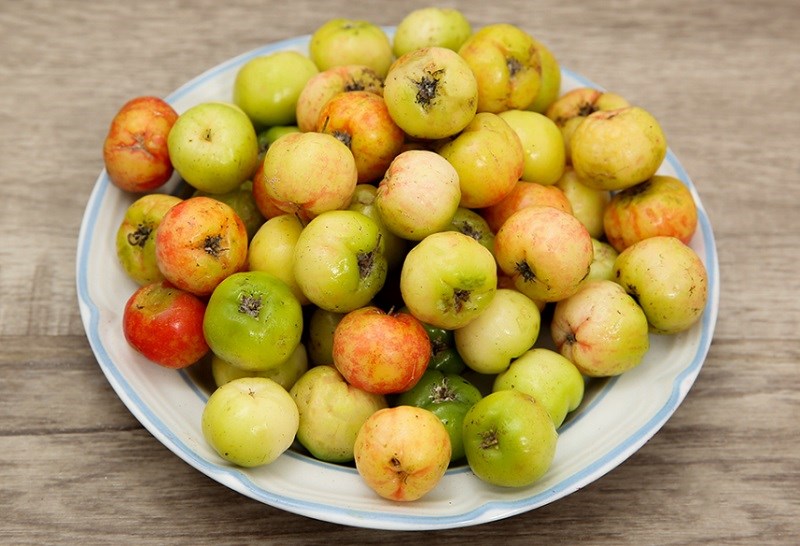 Quả sơ ri