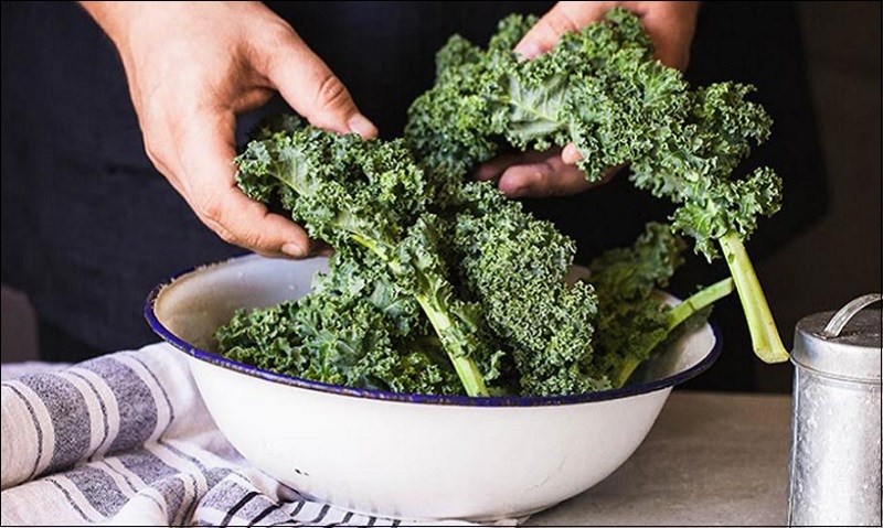 Cải xoăn Kale