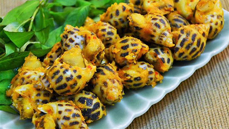 Ốc hương Móng Cái