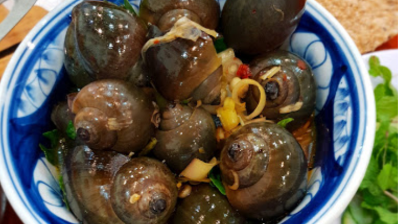 Ốc Cay Hà Nội