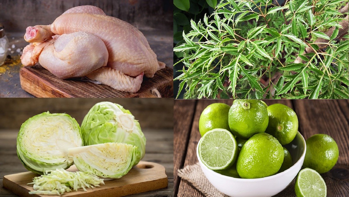 Nguyên liệu món ăn gỏi đinh lăng