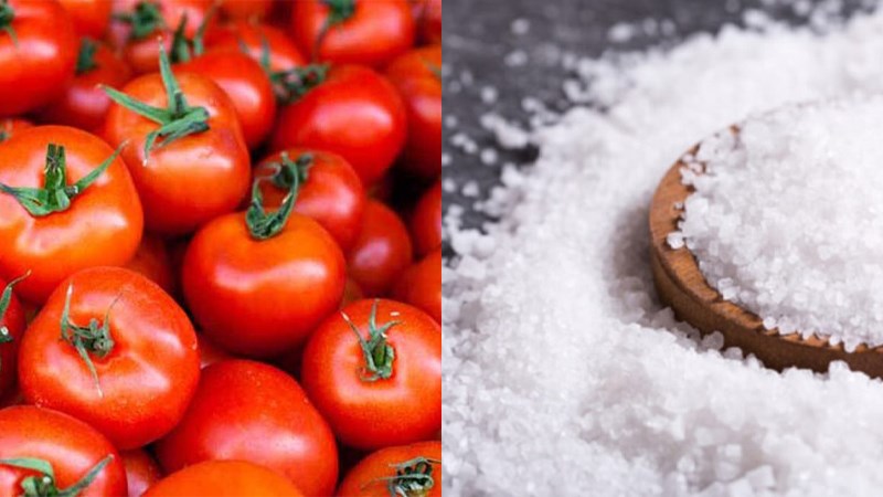 Nguyên liệu món ăn nước ép cà chua