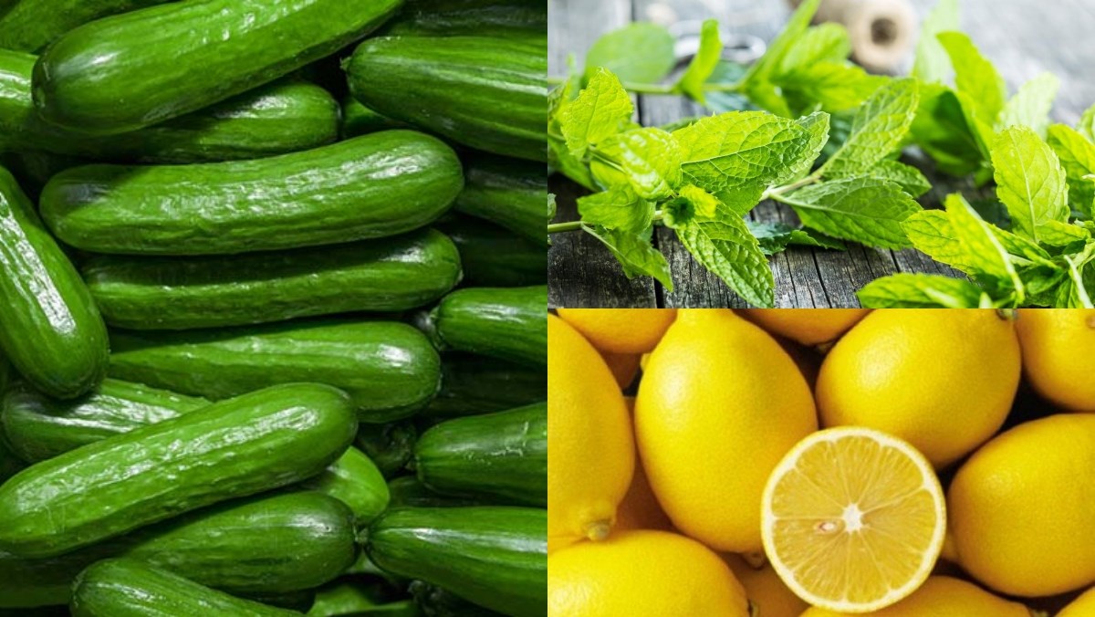 Nguyên liệu làm Nước ép dưa leo bạc hà