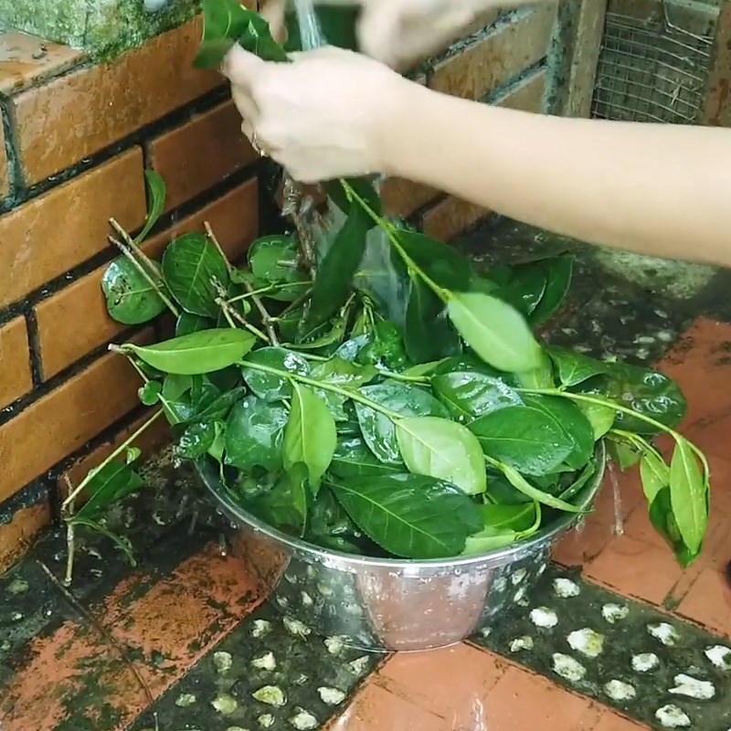 Bước 1 Ủ trà Trà tắc mật ong nha đam