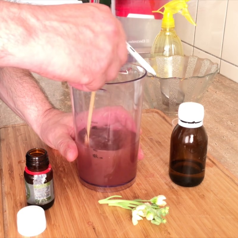 Bước 3 Pha tinh dầu Cách làm nước hoa bằng hoa hồng, Matthiola incana