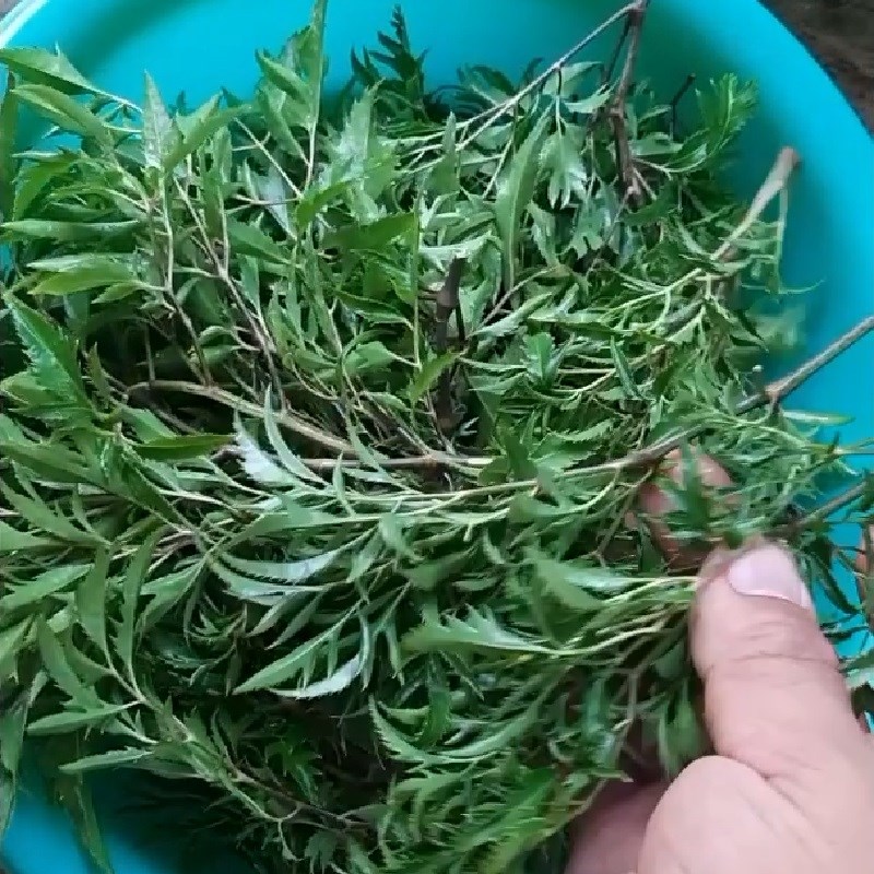 Bước 2 Sơ chế các nguyên vật liệu còn lại Gỏi đinh lăng làm thịt gà