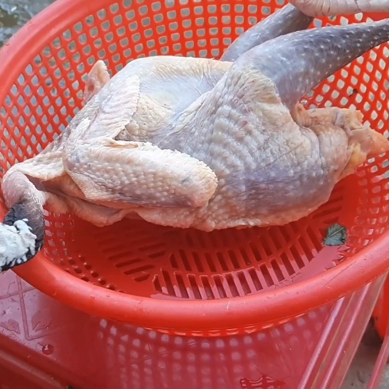 Bước 1 Sơ chế và luộc thịt kê Gỏi đinh lăng thịt gà