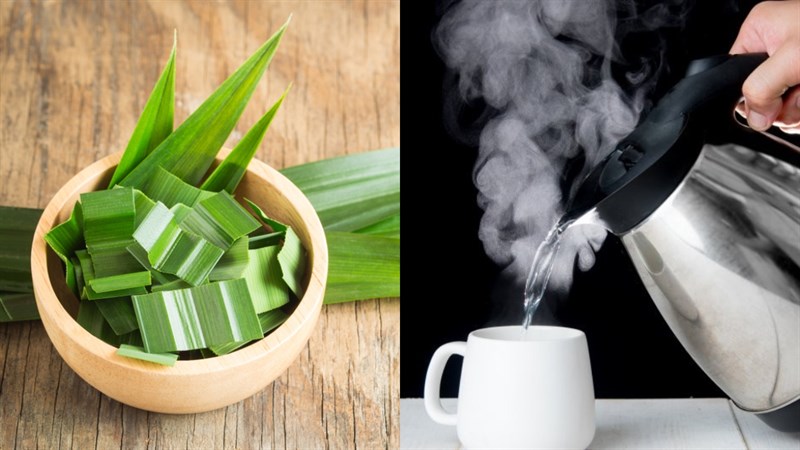 2 cách làm trà lá dứa (lá nếp) thơm mát tự nhiên đơn giản tại nhà