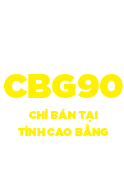 Viettel CBG90