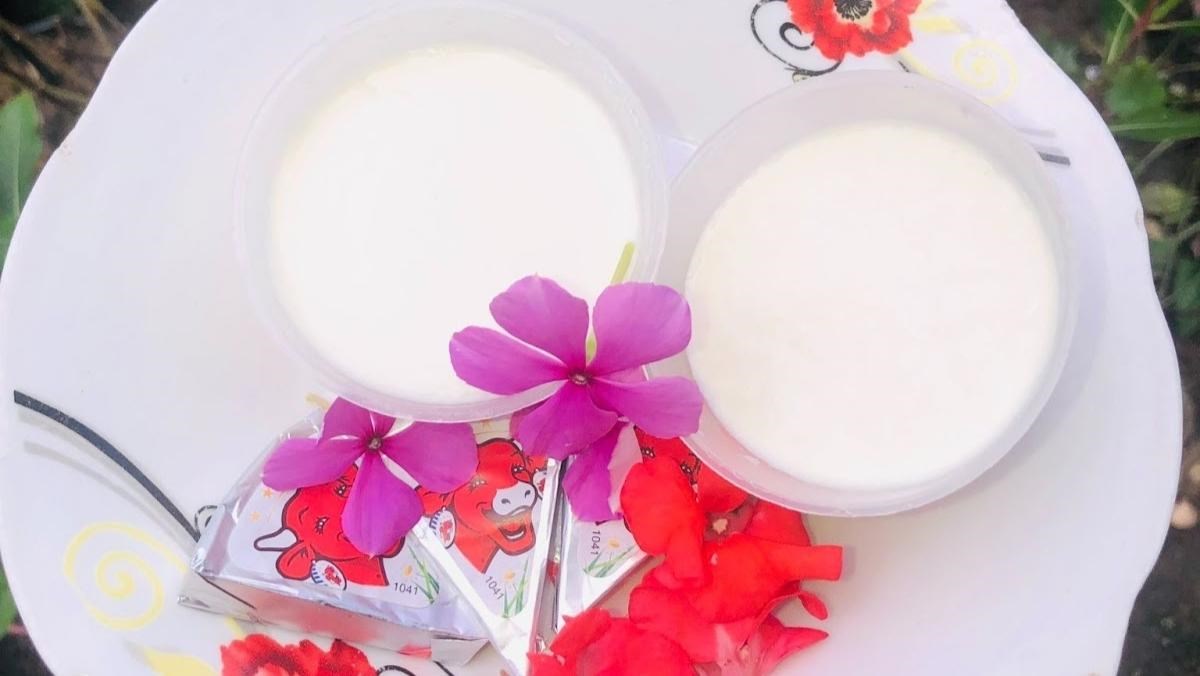 Sữa chua phô mai, sữa chua phô mai nha đam