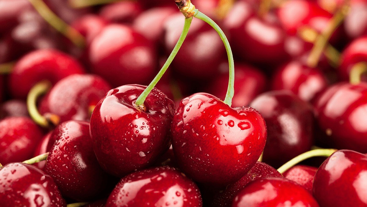 Hãy xem hình ảnh bảo quản cherry để khám phá những cách bảo quản tốt nhất cho loại hoa quả giòn ngọt này. Học hỏi cách chọn, sắp xếp, bảo quản để giữ được hương vị ngon và tươi mới.