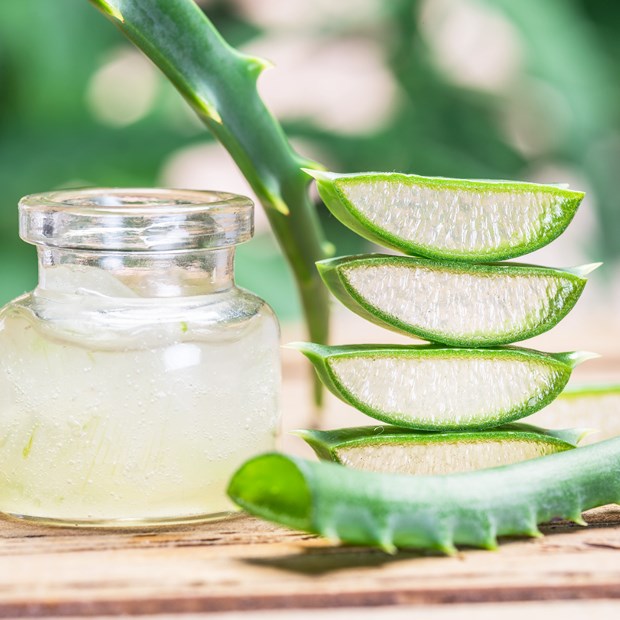 Cách làm nha đam không xẩy ra đắng