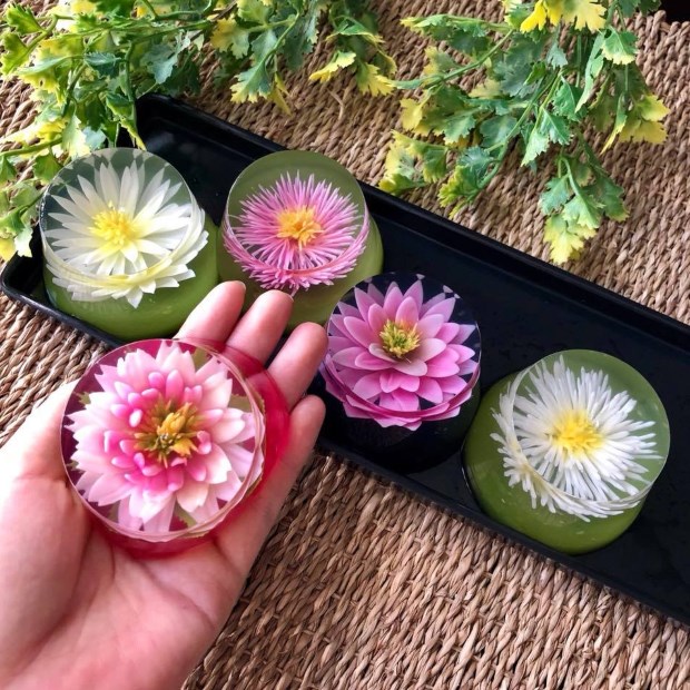 Dụng cụ làm cho rau câu 3D