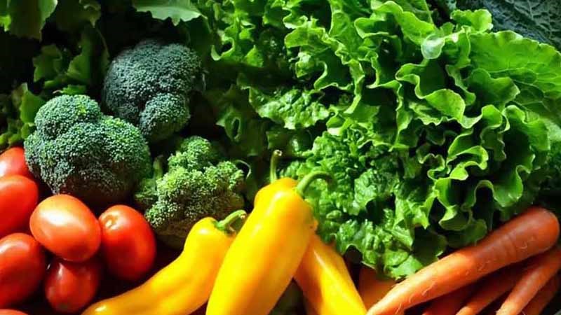 C&aacute;c loại rau xanh