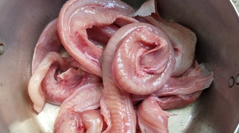 C&aacute;ch sơ chế c&aacute; Ninja kh&ocirc;ng tanh