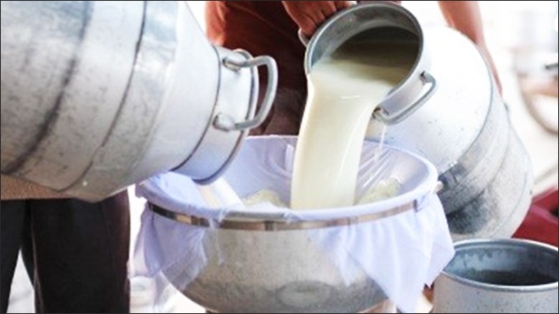 Nhận sữa