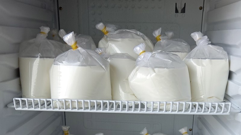 Cho túi sữa vào tủ lạnh