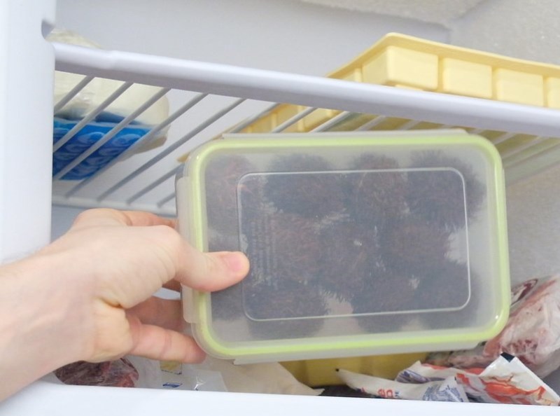 C&aacute;ch bảo quản ch&ocirc;m ch&ocirc;m tươi l&acirc;u tại nh&agrave;