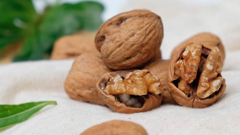 Chọn quả &oacute;c ch&oacute; c&oacute; k&iacute;ch thước lớn