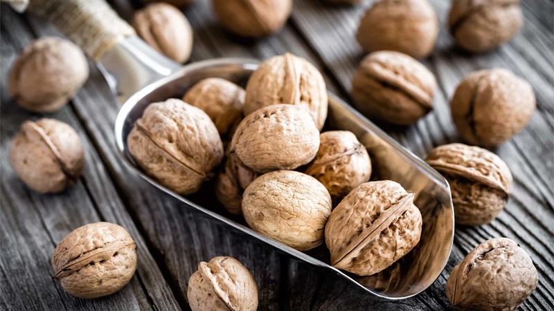 Chọn quả &oacute;c ch&oacute; c&oacute; k&iacute;ch thước đều nhau