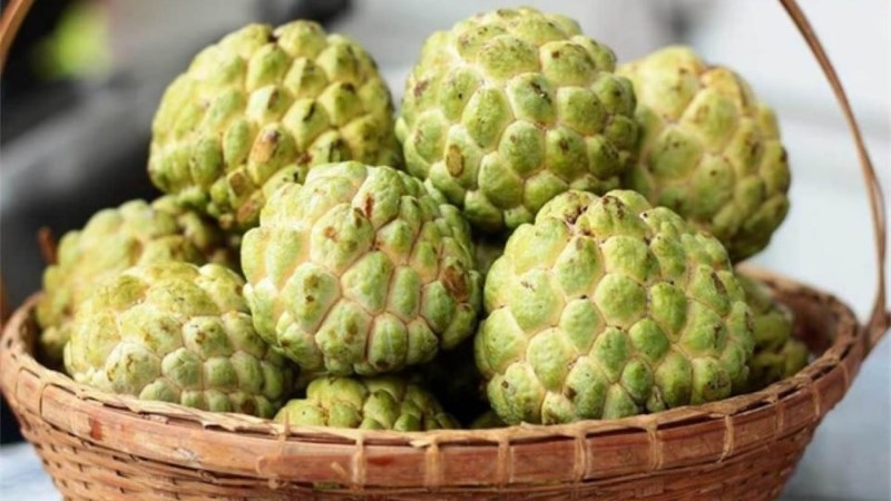 C&aacute;ch bảo quản quả na ch&iacute;n trong tủ lạnh