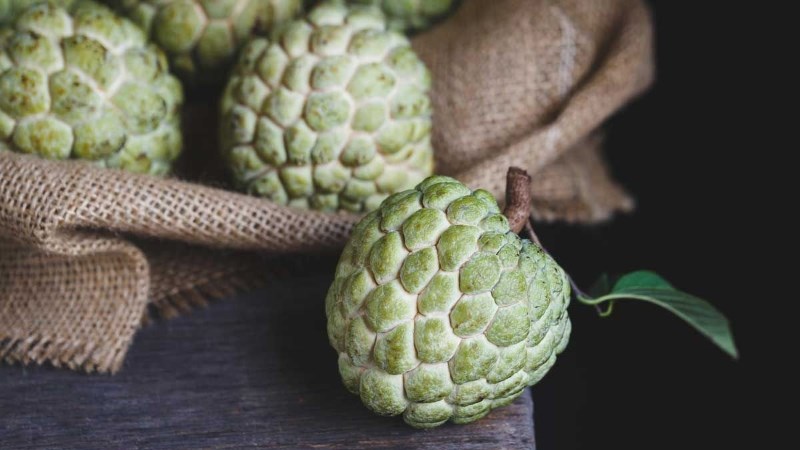 V&igrave; sao cần bảo quản na cẩn thận?