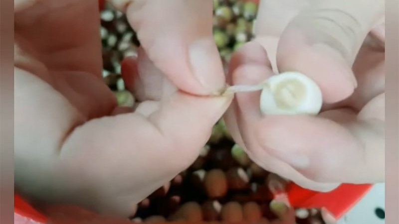 Cắt dọc vỏ v&agrave; b&oacute;c tay