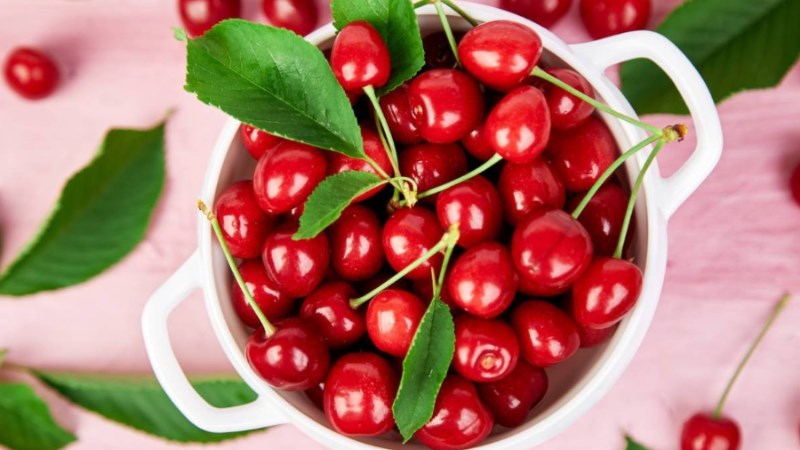 Bảo quản cherry ở nơi khô ráo