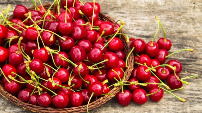 Bảo quản cherry ở nơi khô ráo