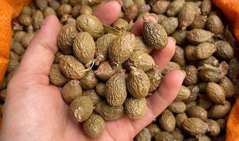 Cách chọn mua hạt ươi