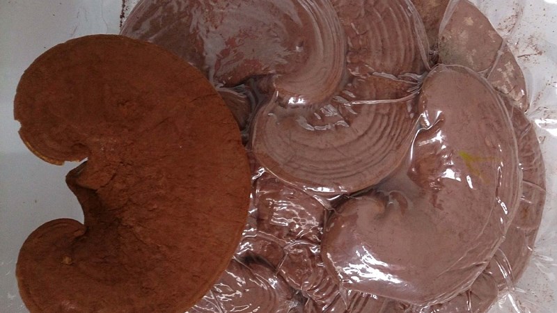 Sấy kh&ocirc; bằng phương ph&aacute;p c&ocirc;ng nghiệp