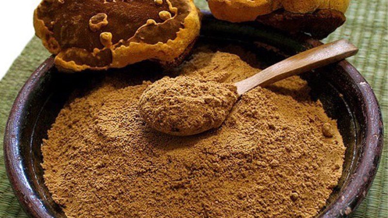 Nghiền nấm th&agrave;nh bột