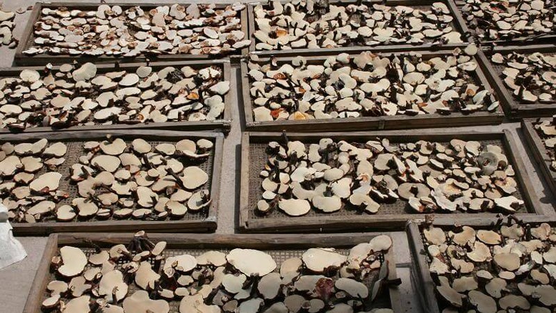 Sấy kh&ocirc; theo phương ph&aacute;p truyền thống