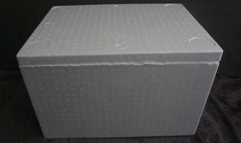 Bảo quản đ&ocirc;ng lạnh ướp lạnh ốc c&agrave; na