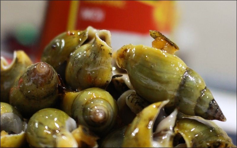 Ốc c&agrave; na gi&aacute; bao nhi&ecirc;u v&agrave; mua ở đ&acirc;u?