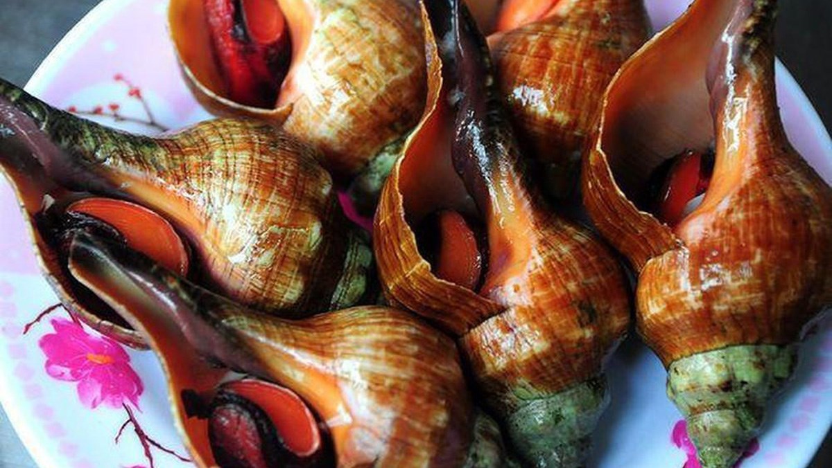 Ốc đỏ l&agrave; ốc g&igrave;?