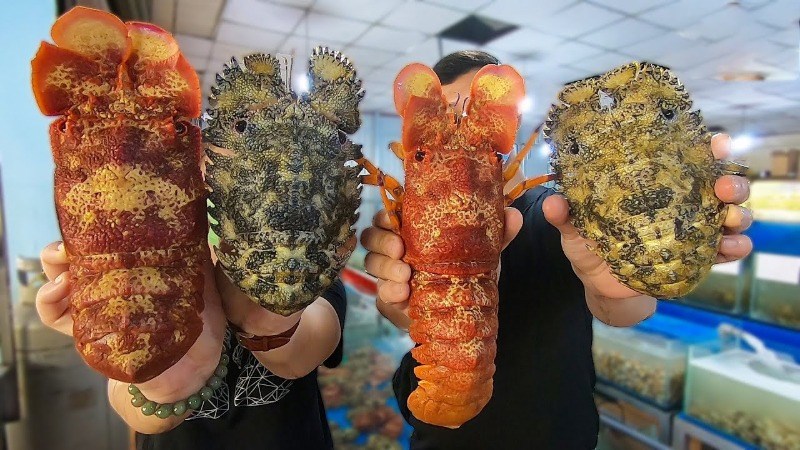 C&aacute;c loại t&ocirc;m mũ ni